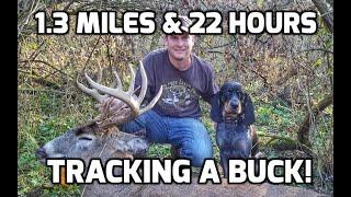 Blood Trailing A Giant Whitetail Buck For 22 Hours - The Callie Chronicles