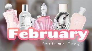 FEBRUARY PERFUME TRAY 2025!  | PERFUMES I WILL BE WEARING THIS MONTH | AMY GLAM 