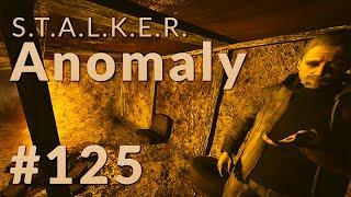 Stalker Anomaly 1.5.1.2 Survivalist/Hard | Freeplay: Swamps/Catching Up with Doc #125