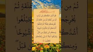 آيات من الذكر الحكيم