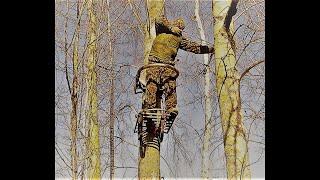 Тристенд. Лабаз-самолаз своими руками. Первое восхождение)) Treestand DIY. First climbing ))