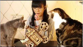 Chit Chat DIY 2 | Mini projecteur de film & Ma vie en confinement  [VN/FR SUB]