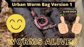 Urban Worm Bag  - ANC Worms Alive 11/19/2024