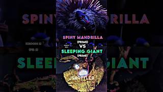 Spiny Mandrilla vs Sleeping Giant