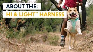 About the Hi & Light™ Harness