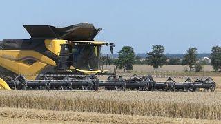 New Holland CR 11 mit 15 Meter !!! Schneidwerk im Weizenfeld