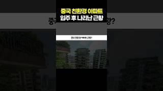 중국 친환경 아파트가 난리난 이유