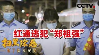 雇佣枪手干掉追逃警察 各大黑帮“老大”落网细节曝光！《扫黑除恶——为了国泰民安》| CCTV社会与法