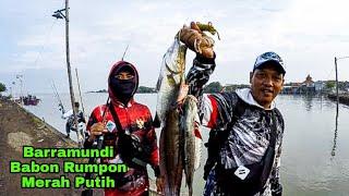 Rute Menuju Rumpon Merah putih [Mancing Semarang