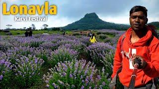 LONAVALA-Karvi Flower Festival | ७ वर्षात एकदा उगवणारी कारवी फुलांचा महोत्सव With Detailed Location