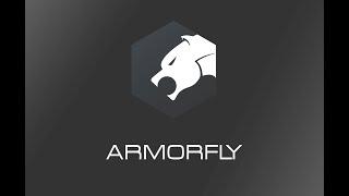 Обзор и настройка Armorfly