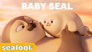 CUTENESS EXPLOSION | Baby Seal Special | SEALOOK | Episodes Compilation