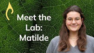 Meet the Lab – Matilde Bragadini, PhD student