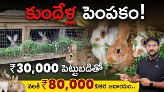 How To Start a Rabbit Farming Business? - Rabbit Farming In Telugu | కుందేళ్ళ పెంపకం | KowshikMaridi