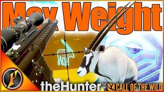 The WRONG Max Weight Diamond Gemsbok 🫣 | Gemsbok Grind in theHunter Call of the Wild~