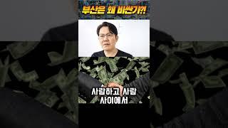부산 집값의 비밀(왜 부산은 비싼가?)