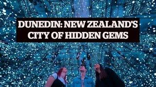 Dunedin: New Zealand's city of hidden gems | TRAVEL | STUFF TRAVEL