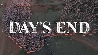 Day’s End Book Trailer (1 November 2022, Text Publishing)