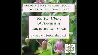 Native Vines of Arkansas with Dr. Richard Abbott