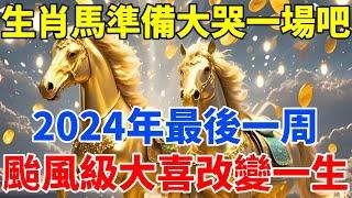 生肖馬準備大哭一場吧！2024年最後一周，颱風級大喜或將改變你的一生！【佛語禪音】#生肖 #命理 #運勢 #屬相 #風水