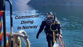 DIVING in the BEAUTIFUL Hardanger fjord of Norway using power tools  #diving #Norway