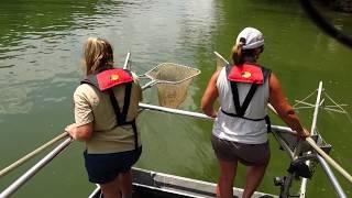 TWRA VLOG - Striper Brood Collection