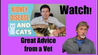 Kidney Disease & Cats.... Great Advice !