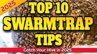 Top 10 Tips for Catching Honeybees Swarms #swarmtrap