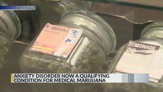 Anxiety disorder to be eligible for medical cannabis in New Mexico