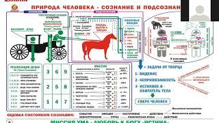 Как мы сами притягиваем болезни l СЮЦАЙ (Жанат Кожамжаров) Целовальнов Дмитрий