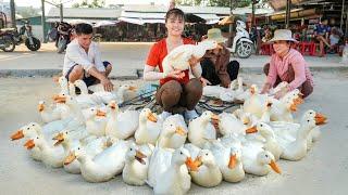 Harvest Ducks After 3 Months of Raising Goes To Market Sell - Repair Duck Coop And Buy Ducklings