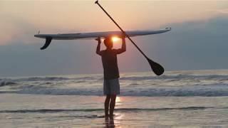 Stone Harbor's 'Dolphin Whisperer'