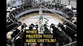 Whey Protein Tozu Nasıl Üretilir? | Türkçe Altyazı