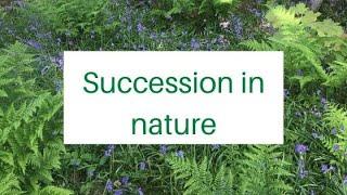 Succession - the permaculture principle.
