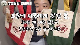 미국살이 1년차가 요즘 사는 물건들(트레이더조 미니백, 유니클로 미니숄더백)