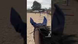 What horses See whilst Jumping 