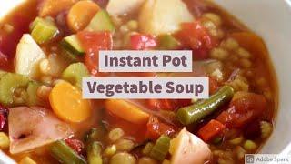 Instant Pot Vegetable Soup