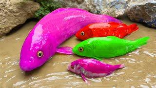 Stop Motion ASMR - Mukbang Fish Cooking Pink Koi Colors Under Mud ASMR & Oddly Cuckoo