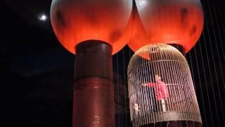 World's Largest Van de Graaff Generator Demo at Boston MOS