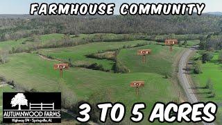 3 to 5 Acre Farmhouse Community Homesteads - Land For Sale in Alabama