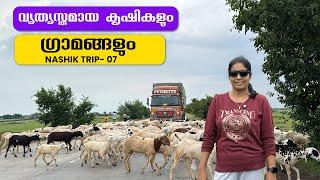 Farms and Villages | Nashik Trip | EP - 07 | Jelaja Ratheesh | Puthettu Travel Vlog |