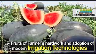 Success Story - Watermelon on Jain Drip