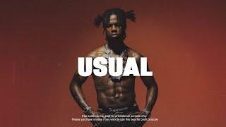 Afrobeat Instrumental 2024 Omah Lay Ft Rema Type Beat "USUAL" Emotional Afrobeat Type Beat