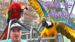 Build a HUGE bird cage! [ GIANT PARROT AVIARY ] #macaw