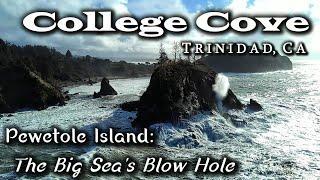 Discover Humboldt: The Big Sea's Blow Hole ~ Pewetole Island ~ College Cove | Trinidad, California