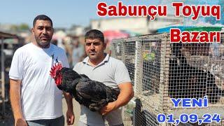 Sabunçu Toyuq Bazarı 1 sentyabr 2024 Dərman Vitamin Satışı 0706208803