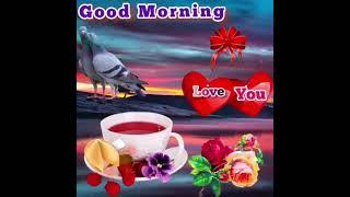 Beautiful Good Morning, Good Morning Video, Good Morning love status, Good morning photo