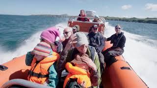 This is St Davids, a trip around Ramsey with skipper Ffion Rees of Falcon Boats