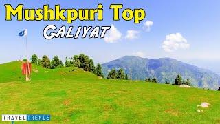 Mushkpuri Top | Mushkpuri Track | Nathia gali pakistan