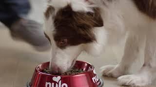 Nulo Freestyle Adult Trim Dog Food